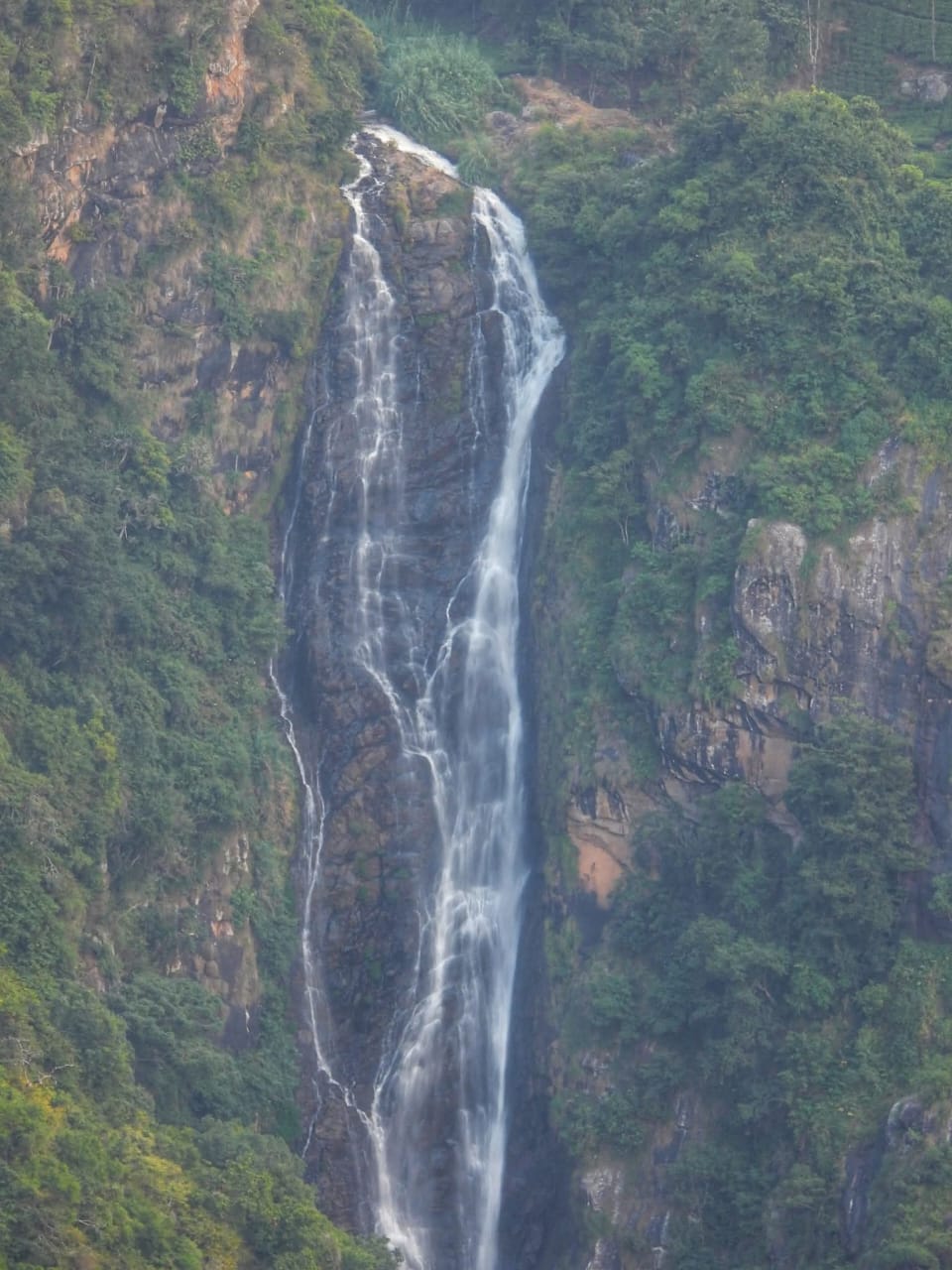 Nilgiris landscape near Pykara