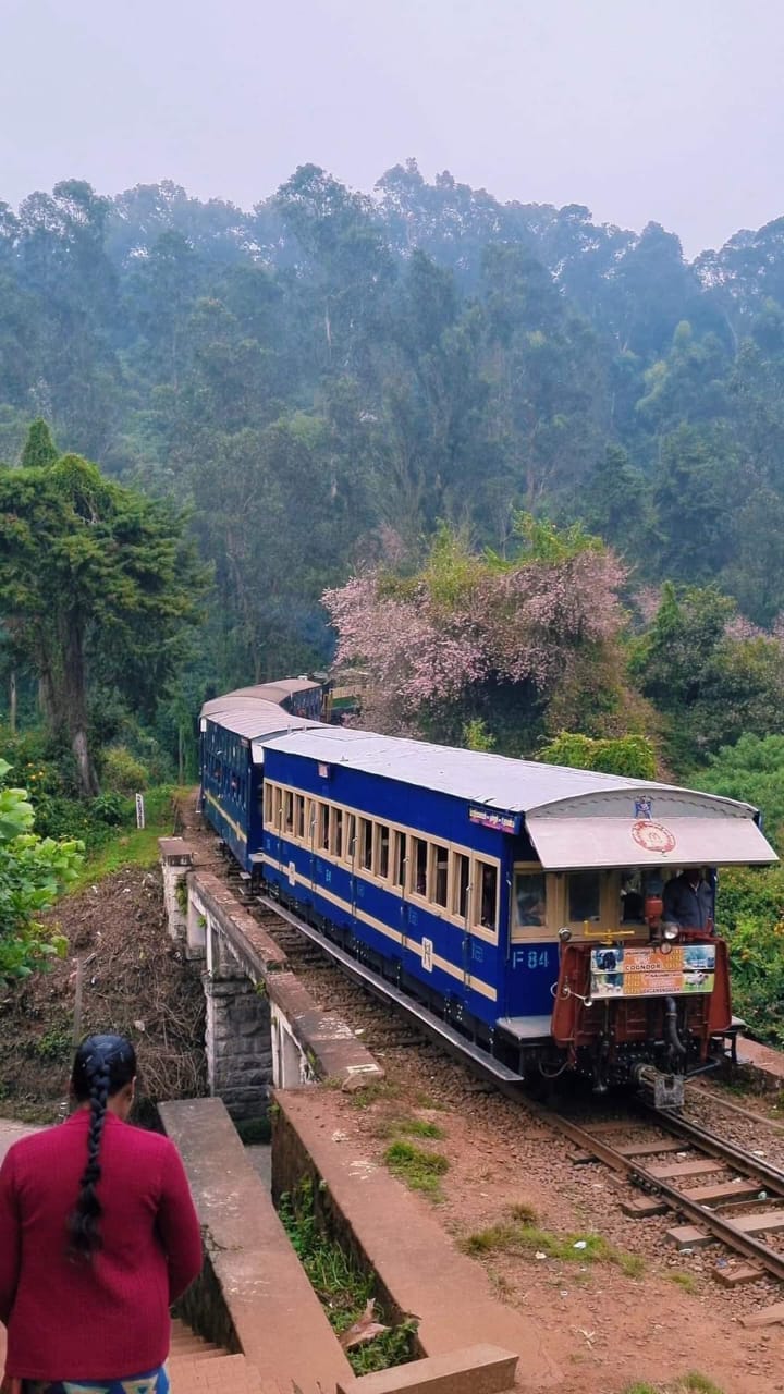 Nilgiris landscape near Pykara