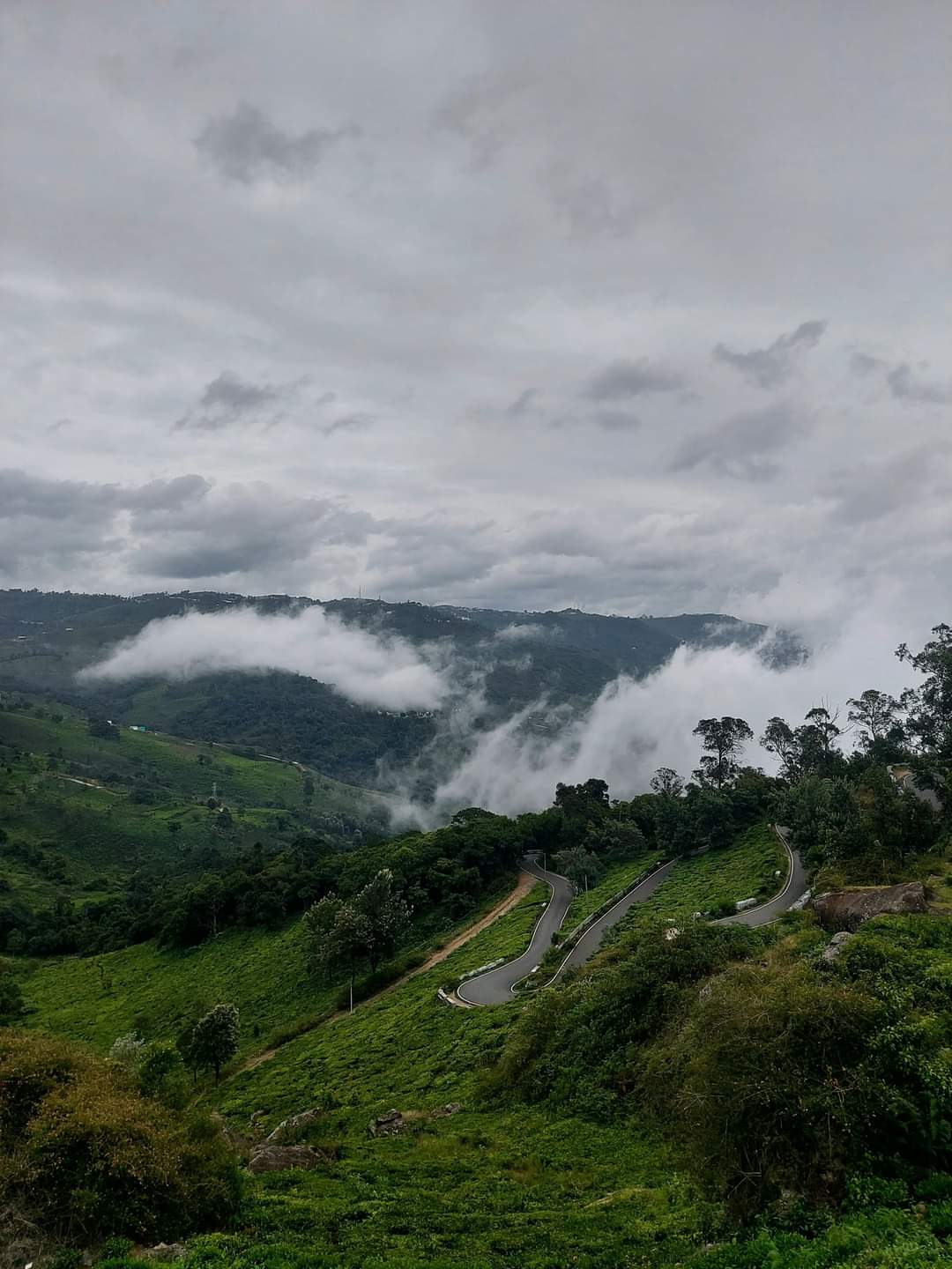 Nilgiris landscape near Pykara